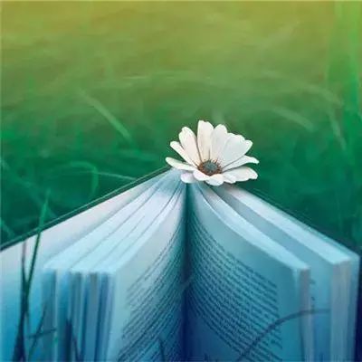 兄弟三国霸天下手游